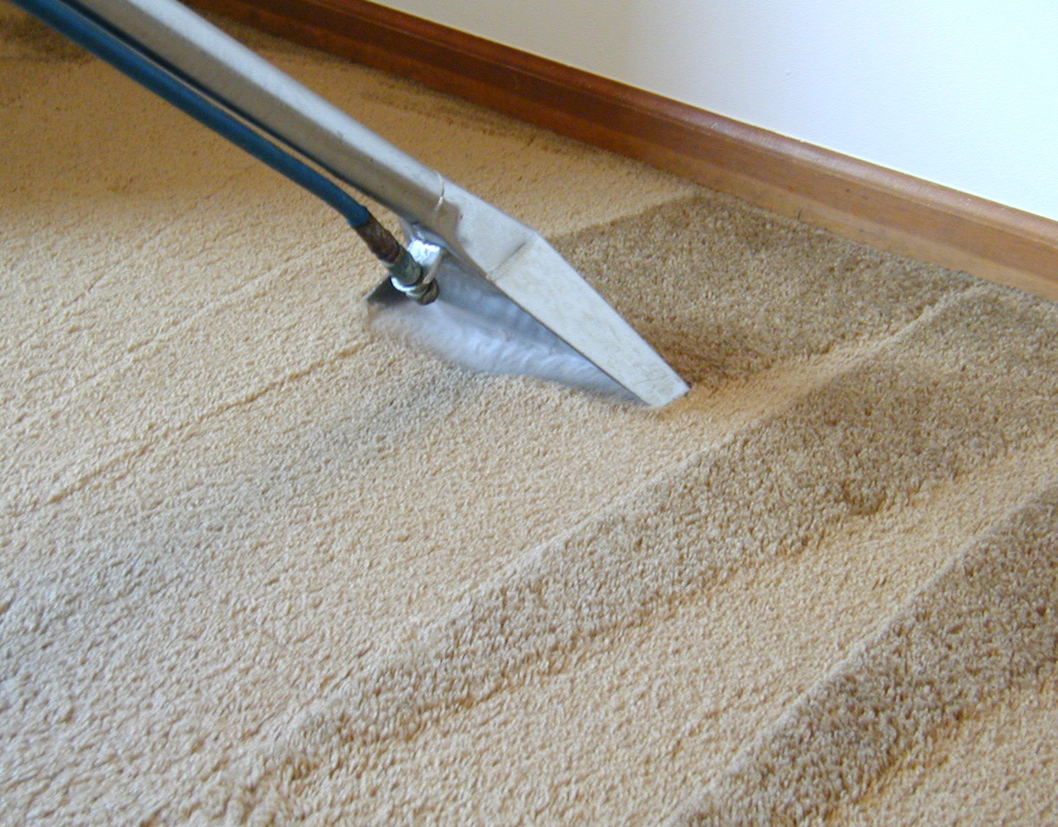 Warren Carpet Cleaning