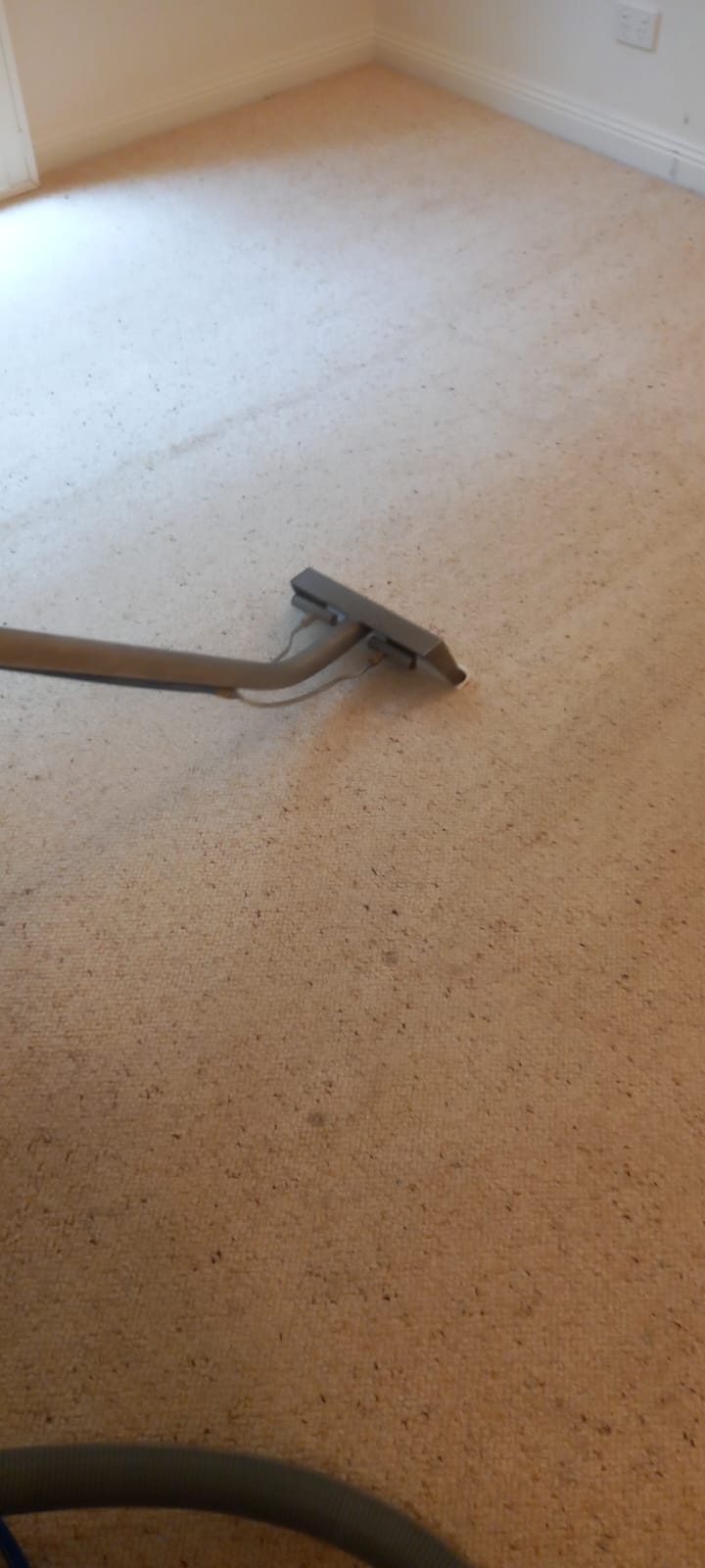AXZ Cleaning Services