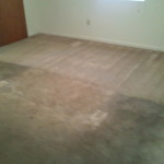 Hydra Clean Carpet Cleaning