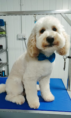 Wagz Dog Grooming