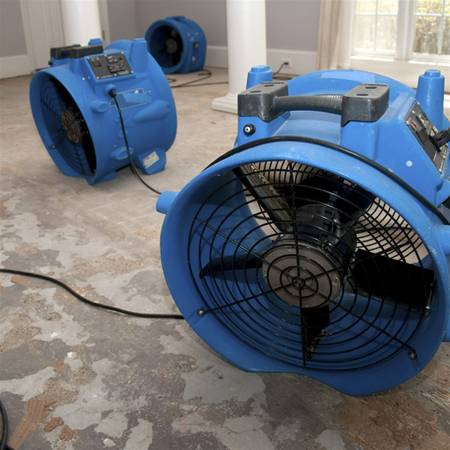 Tarzana Mold Removal and Water Damage