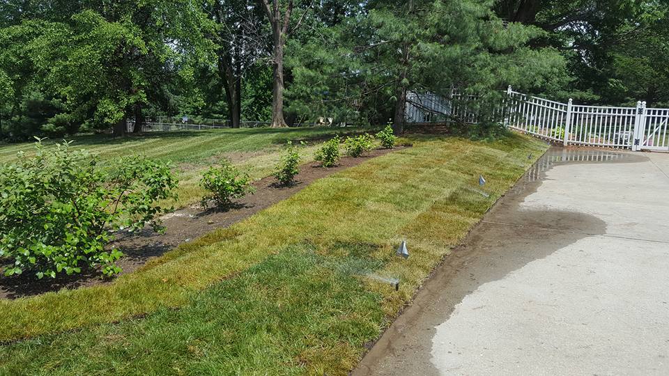 TK Lawn & Landscaping